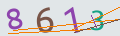 verifycode